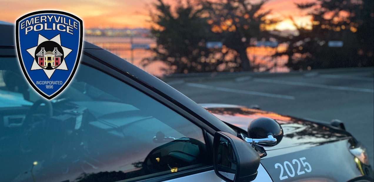 Sheriff Entry Page Header Image